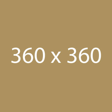 case study 9