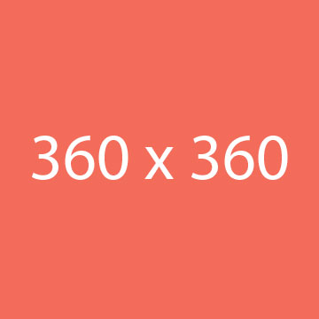 case study 6